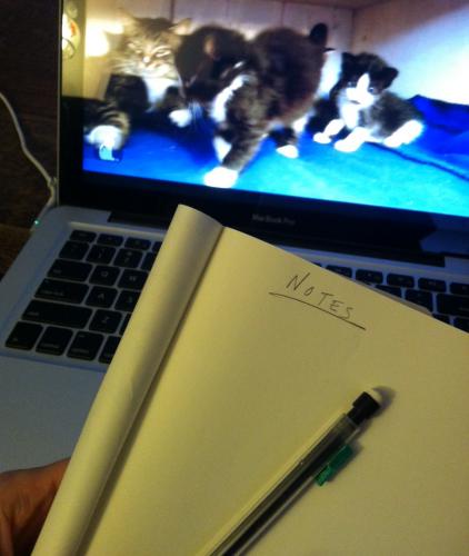 A pencil and notebook ready to take notes; a laptop screen playing a video of kittens.