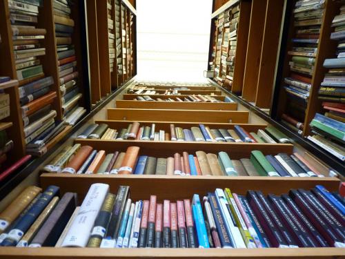 Library bookshelves