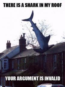 There is a shark in my roof.  Your argument is invalid.